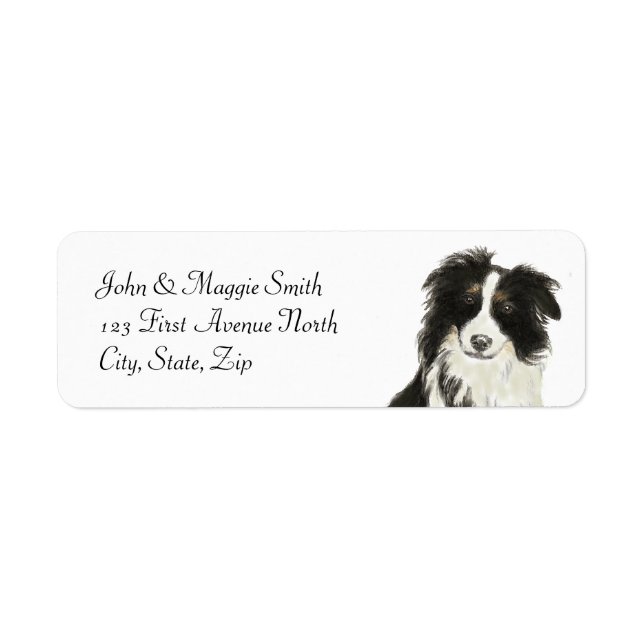Border Collie Dose Individuelle Name (Vorne)