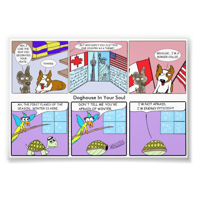 Border Collie / energieeffizient Fotodruck (Vorne)