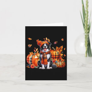 Border Collie Erntedank Leopard Pumpkins Fall L Karte