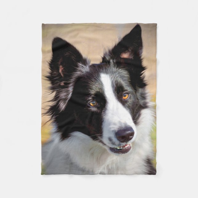 Border-Collie Fleecedecke (Vorderseite)