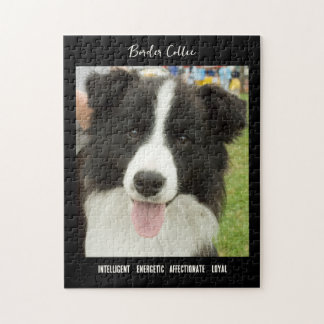 Border Collie Foto Dog Breed Jigsaw Puzzle