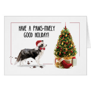 Border Collie Funny Christmas Dog mit Baum