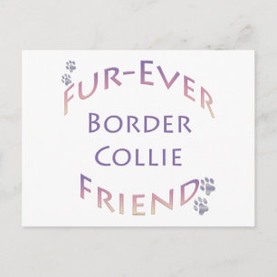 Border Collie Furever Postkarte
