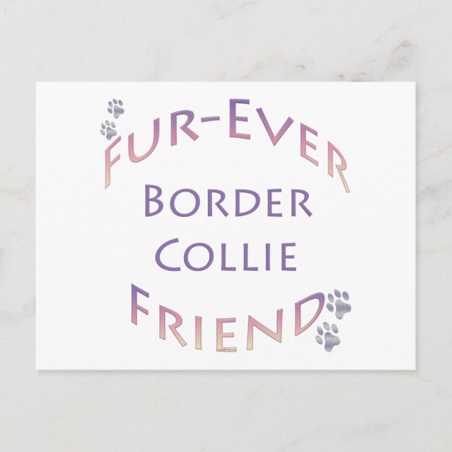 Border Collie Furever Postkarte (Vorderseite)