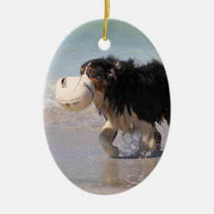 Border-Collie - Fußball jedermann? Keramik Ornament