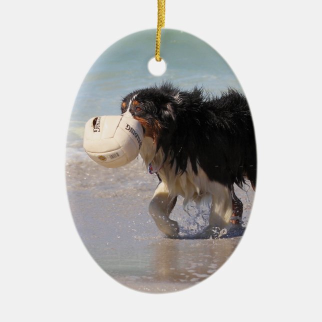 Border-Collie - Fußball jedermann? Keramik Ornament (Vorne)