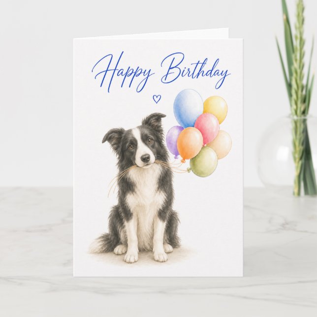 Border Collie Geburtstag Karte (Vorderseite)