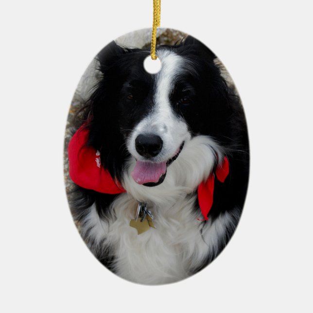 Border-Collie-Geschenke Keramik Ornament (Vorne)