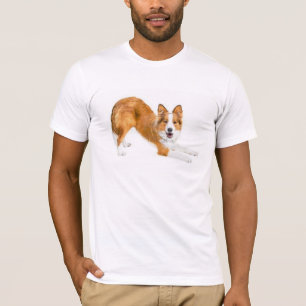 Border-Collie goldenes Red~Tee T-Shirt