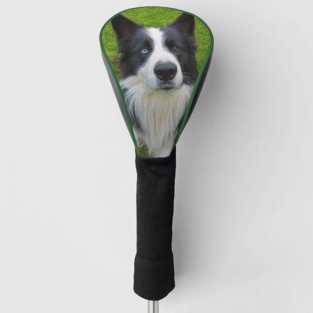 Border Collie Golf Headcover (Vorderseite)