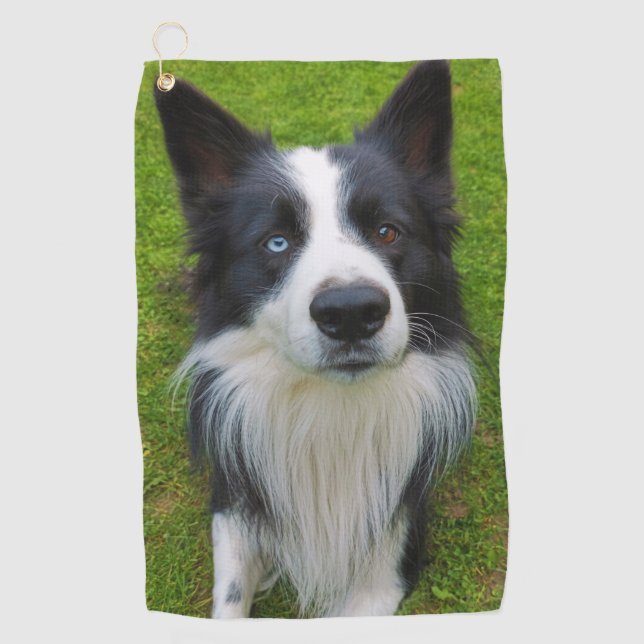 Border Collie Golfhandtuch (Vorderseite)