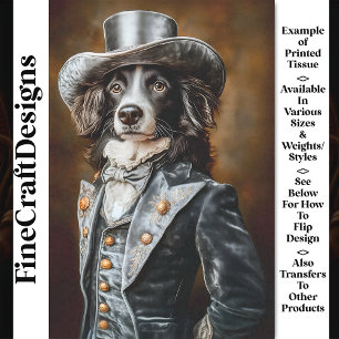 Border Collie Grau viktorianisches Outfit CF5 Deco Seidenpapier