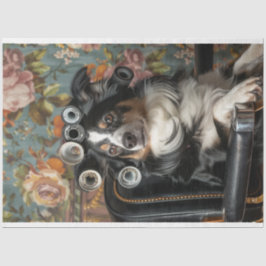 Border Collie Hair Cut Style Pampered Decoupage Seidenpapier