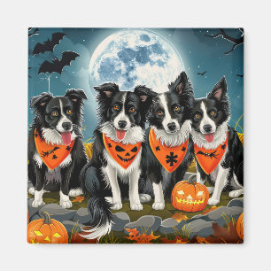 Border Collie Halloween Spooky Magnet