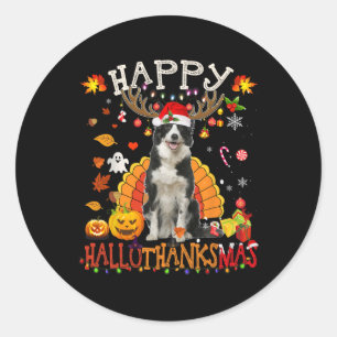 Border Collie Halloween Weihnachtshund Happy Hallo Runder Aufkleber