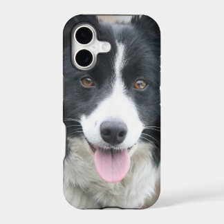 Border Collie Handyhülle