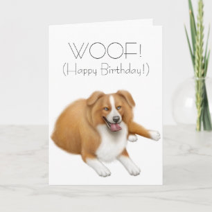 Border Collie Happy Birthday Card Karte