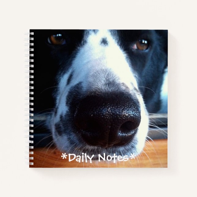 Border Collie Heeler Mix Dog Boop My Nose Foto Notizbuch (Vorderseite)