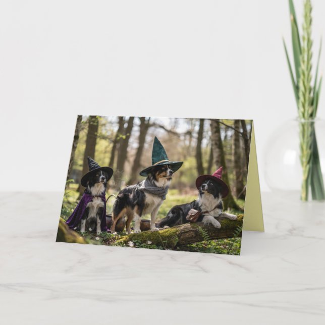 Border Collie Hexe Halloween Karte (Vorderseite)