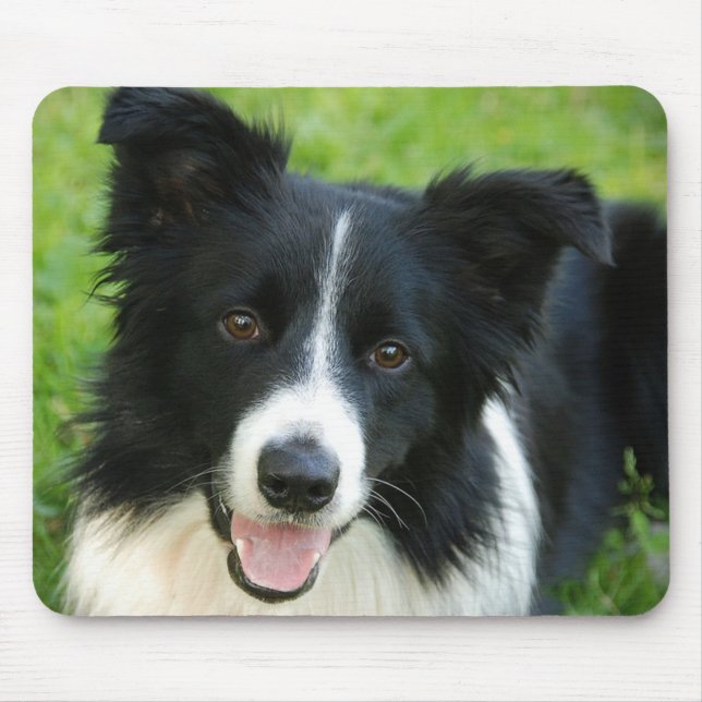 Border-Collie-Hund addieren Text-Haustier Mousepad (Vorne)