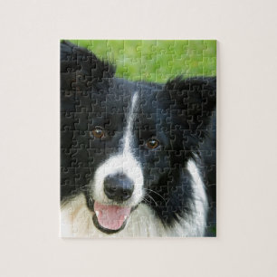 Border-Collie-Hund addieren Text-Haustier Puzzle