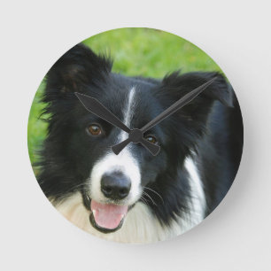 Border-Collie-Hund addieren Text-Haustier Runde Wanduhr