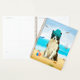 Border Collie Hund am Strand Planer