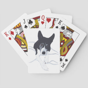 Border Collie Hund, der dich beim Kartenspielen be Spielkarten