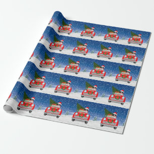 Border Collie Hund fährt Auto im Schnee Weihnachte Geschenkpapier