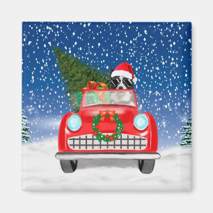 Border Collie Hund fährt Auto im Schnee Weihnachte Magnet