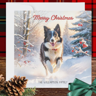 Border Collie Hund im Schnee Frohe Weihnachten