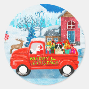 Border Collie Hund im Weihnachtslieferwagen Schnee Runder Aufkleber