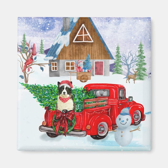 Border Collie Hund in Christmas Delivery LKW Schne Magnet (Vorne)