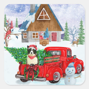 Border Collie Hund in Christmas Delivery LKW Schne Quadratischer Aufkleber