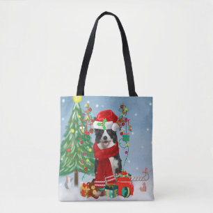 Border Collie Hund in Snow mit Weihnachtsgeschenke