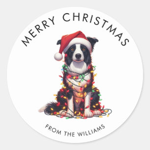 Border Collie Hund in Weihnachtslichtern eingewick Runder Aufkleber