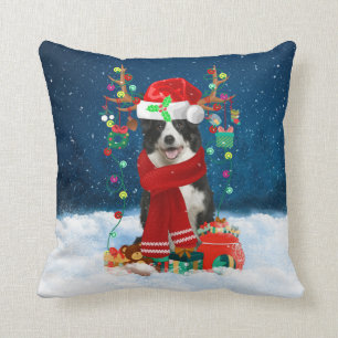 Border Collie Hund mit Weihnachtsgeschenken Kissen