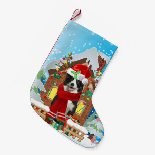 Border Collie Hund mit Weihnachtsgeschenken Kleiner Weihnachtsstrumpf