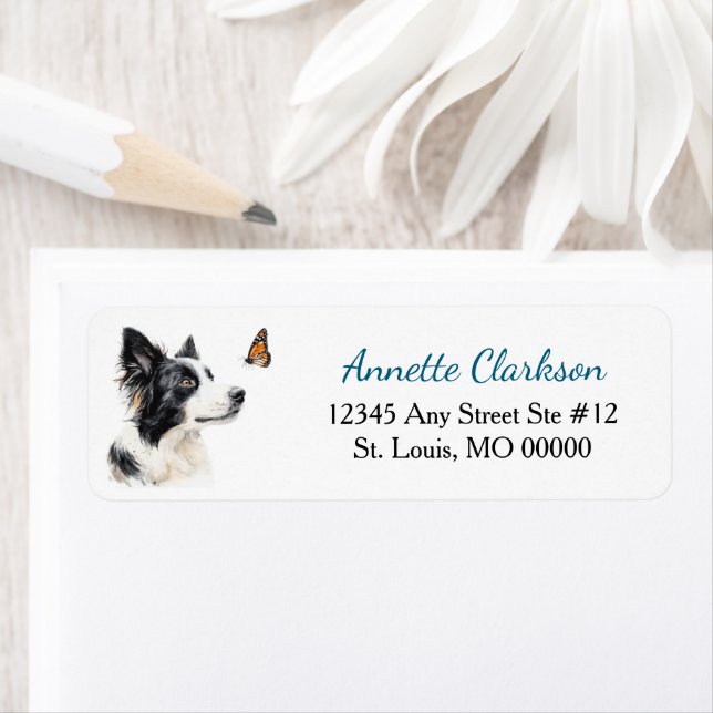 Border Collie Hund Schmetterling Wunder (Insitu)