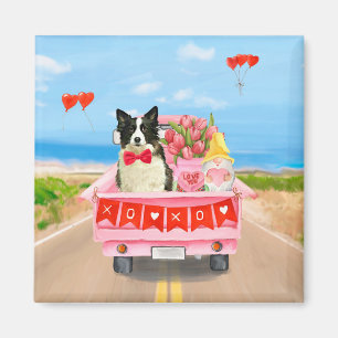 Border Collie Hund Valentinstag Lastwagen Herzen Magnet