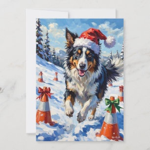 Border Collie Hund Weihnachten Schnee Agility Spaß