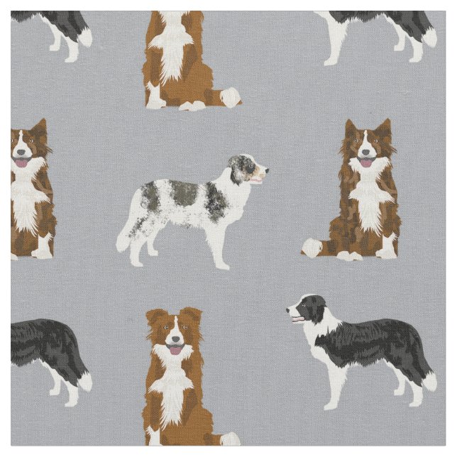 Border Collie Hunde braun, merle, grau Stoff (Nahaufnahme)