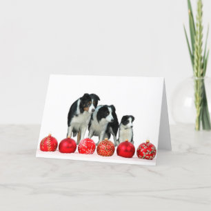 Border Collie Hunde mit Red Christmas Ornaments Feiertagskarte