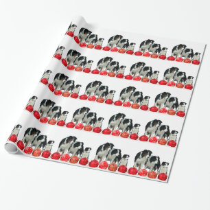 Border Collie Hunde mit Red Christmas Ornaments Geschenkpapier