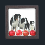 Border Collie Hunde mit Red Christmas Ornaments Kiste<br><div class="desc">Border Collie Hunde mit Red Christmas Ornaments. Speziell für Border Collie Liebhaber,  die Weihnachten feiern.</div>