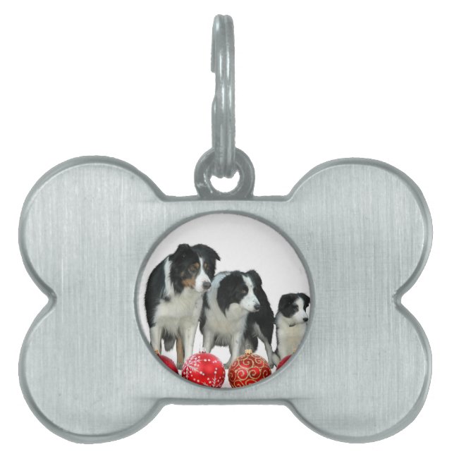 Border Collie Hunde mit Red Christmas Ornaments Tiermarke (Vorderseite)
