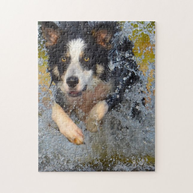 Border Collie Hunde. Puzzle (Vertikal)