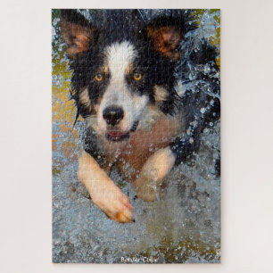 Border Collie Hunde. Puzzle