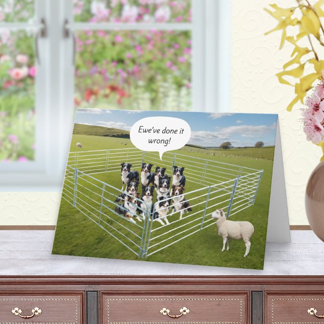 Border Collie Hunde und Sheep Funny Geburtstag Karte (A funny birthday card with role reversal of sheep and border collie sheepdogs)