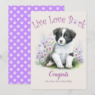 Border Collie Hundeadoption, Gotcha Tag Karte